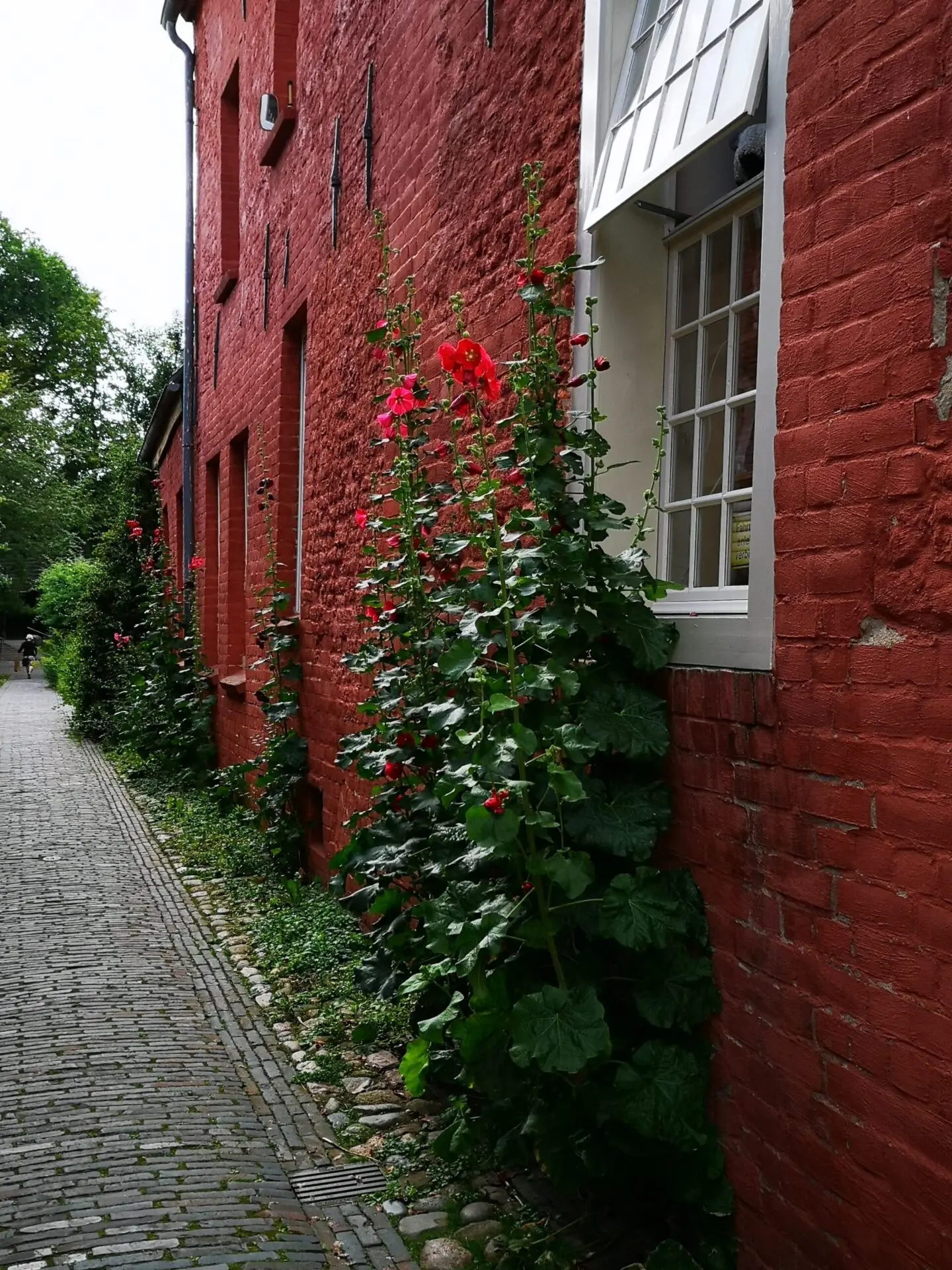 a brick building with flowers growing on it