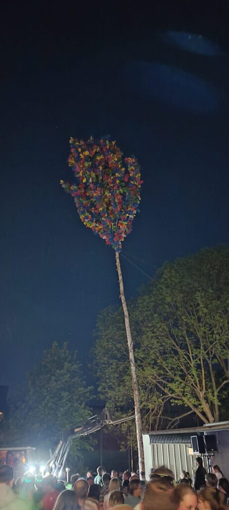 Maibaum in Mariaweiler2025