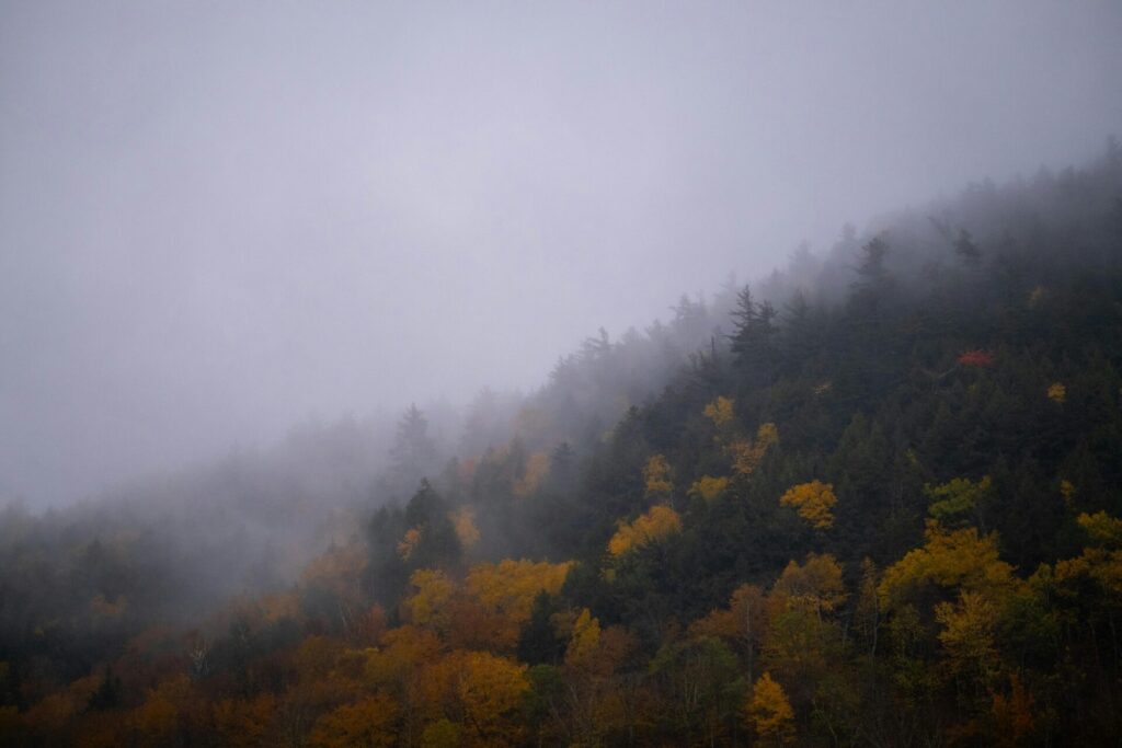 A scenic view of a misty autumn forest with vibrant fall colors in Vermont, USA.